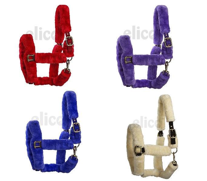 Licol Kingston - SHOPHORSE